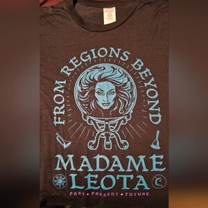 Disney Madame Leota Brown and Blue Decor